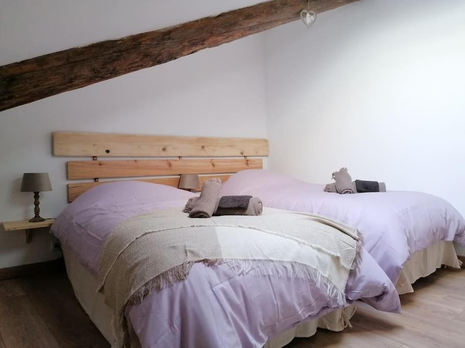 Gite L'Edelweiss 3* La Piarre Exteriér fotografie